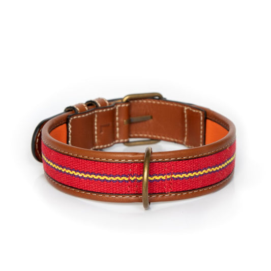 Honden halsband Cofan Bruin