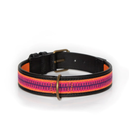 Honden Halsband Shuar